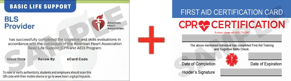 Sample American Heart Association AHA BLS CPR Card Certification and First Aid Certification Card from CPR Certification St. Petersburg